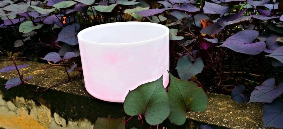 Crytal sining bowls 4