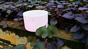 Crytal sining bowls 1